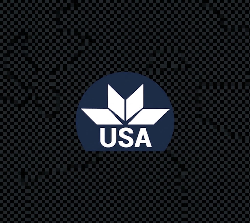 University of South Asia (USA)